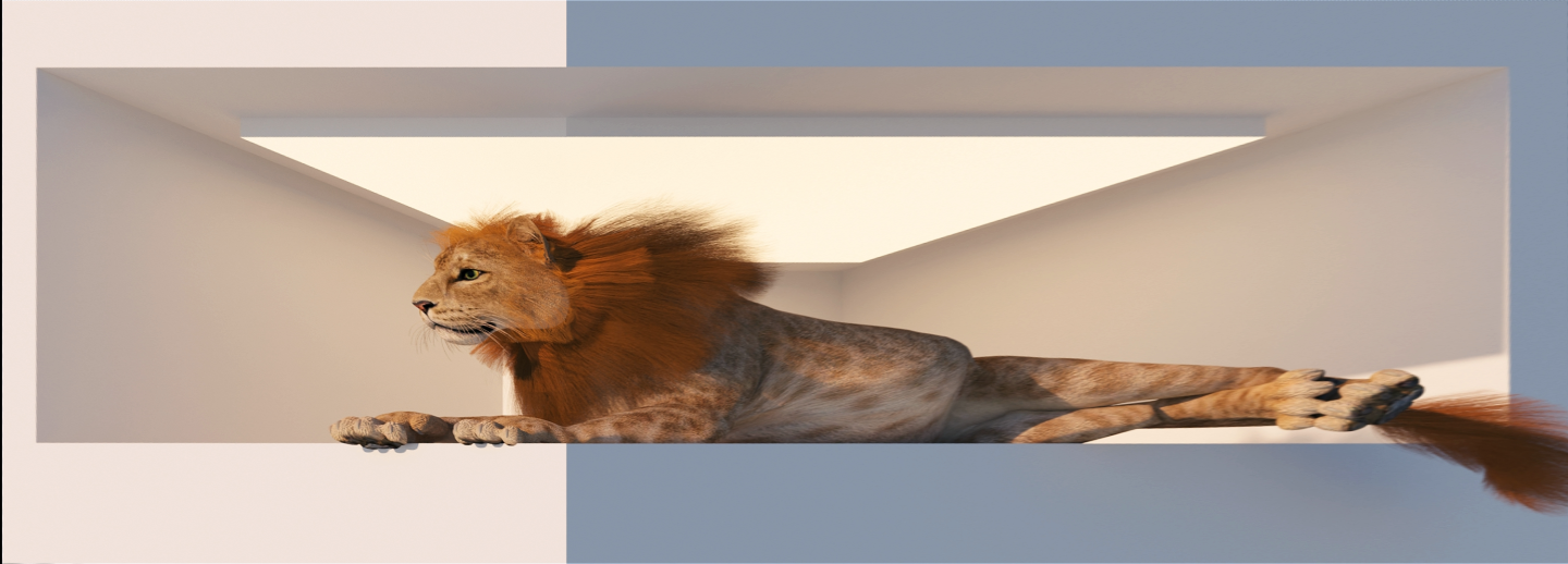 狮子动物裸眼3d素材L幕