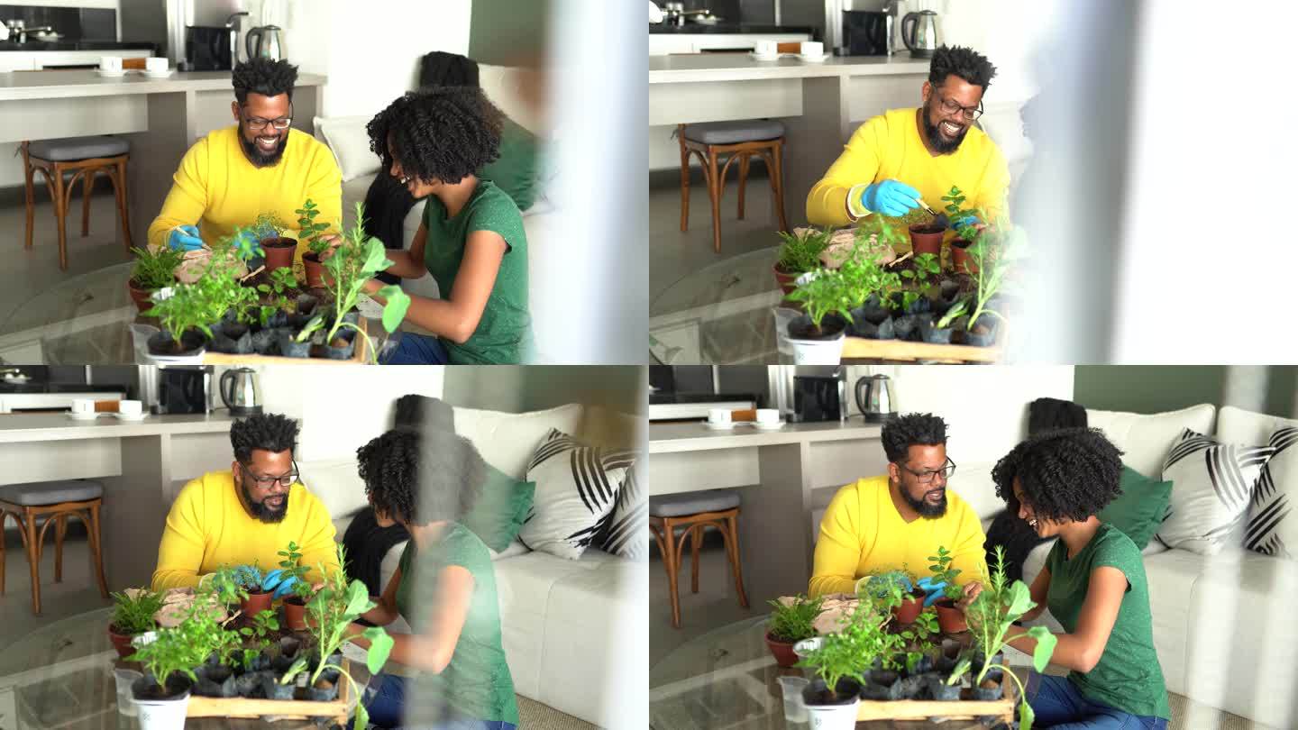 爸爸和女儿在家一起照顾植物
