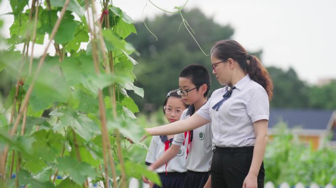 学农基地教学的老师