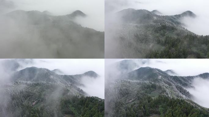 浙江天台华顶森林公园雾凇