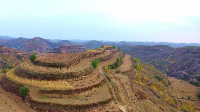 陕北一望无际的黄土高原