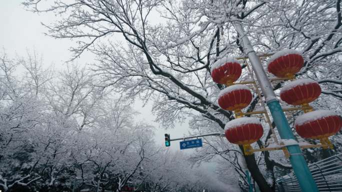 雪景北京白天夜晚街道路灯天安门