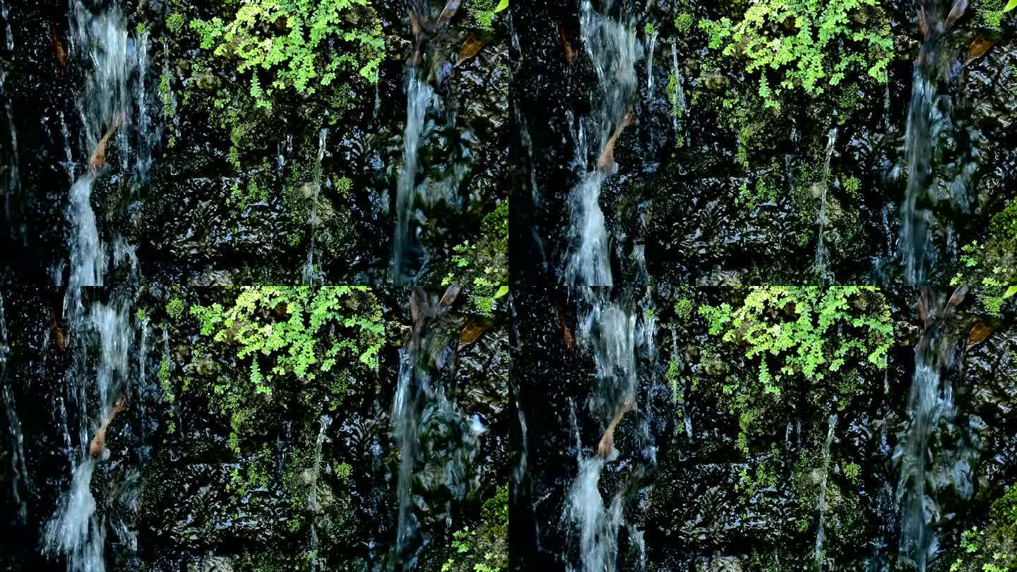 公园里的小瀑布高山流水潮湿岩石蕨类植物