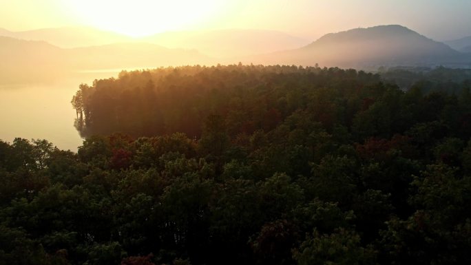 余姚四明湖水杉林日出美景