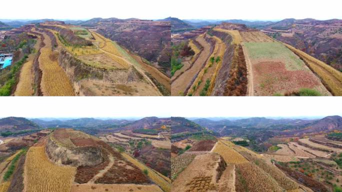 陕北米脂黄土高原农田航拍