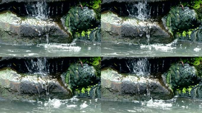 池塘中的人工瀑布高山流水潮湿岩石蕨类植物