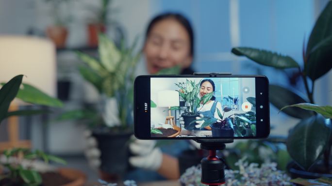 一位年轻的亚洲女性在树店用手机接收订单，并在夜间在线直播植物录制视频。