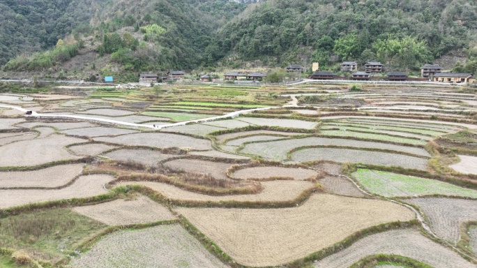 山村田园农忙季节