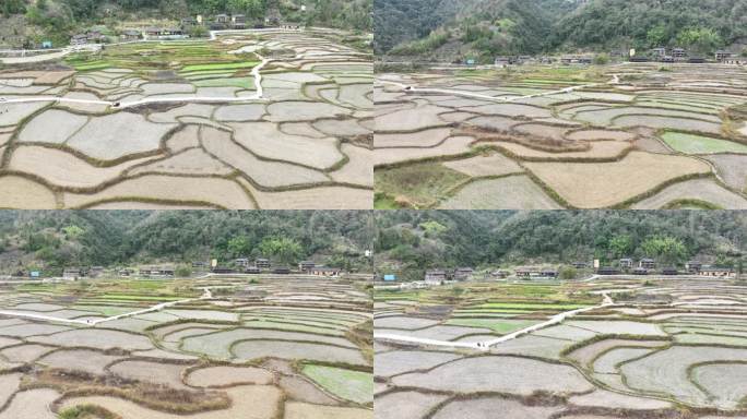 山村田园农忙季节