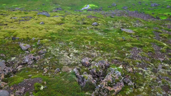 被苔藓覆盖的熔岩场鸟瞰图