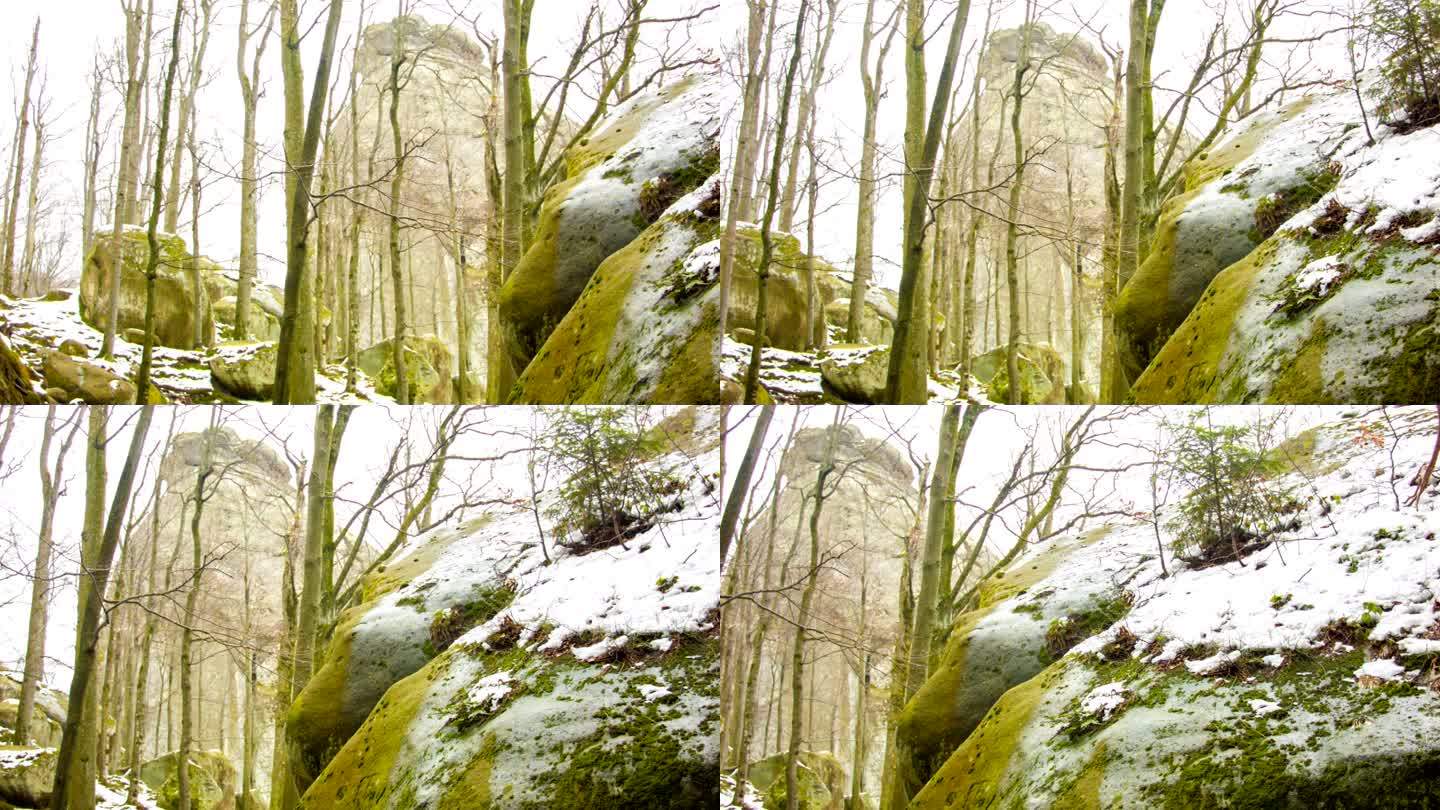山上的绿色岩石。大雪覆盖冬天森林岩石青苔