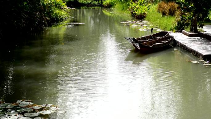 荷塘池塘小船流水波光粼粼生态绿色