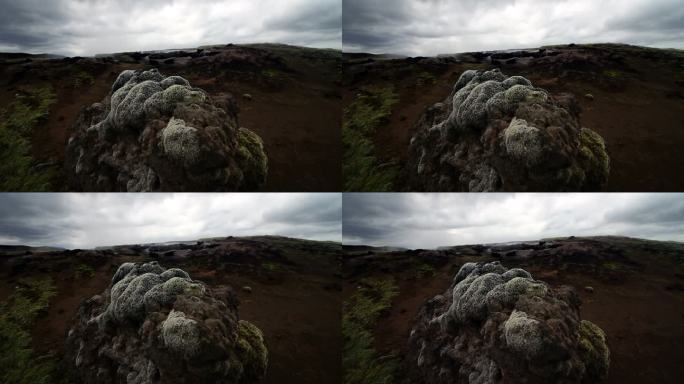 苔藓和地衣，景观冰岛环境风吹苔藓地衣绿色