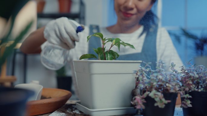 一位年轻的亚洲女性在家中照顾水上盆栽植物的特写镜头。