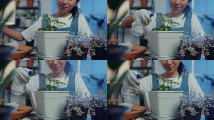 一位年轻的亚洲女性在家中照顾水上盆栽植物的特写镜头。
