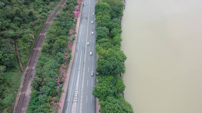 俯拍河边公路车流车辆交通汽车