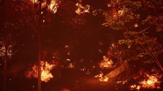 4K森林山火火灾