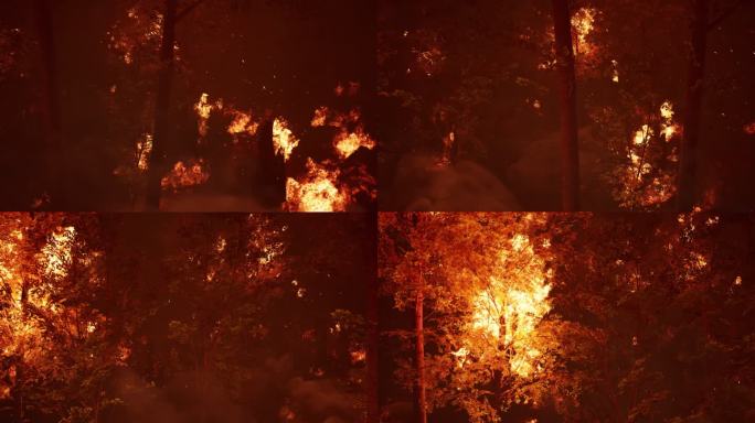 4K森林树林火灾