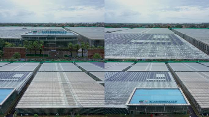 原创航拍4K海口桂林洋国家热带农业公园