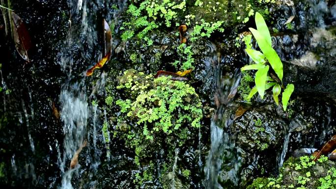 公园里的小瀑布高山流水瀑布小溪潮湿岩石苔