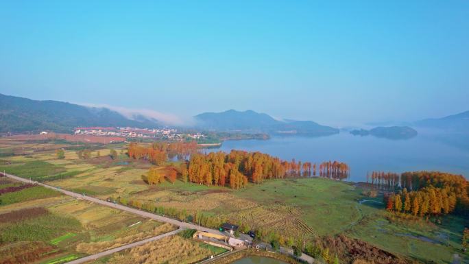 余姚四明湖水杉林日出美景