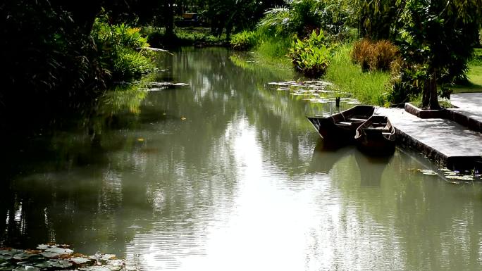 荷塘池塘小船流水波光粼粼生态绿色