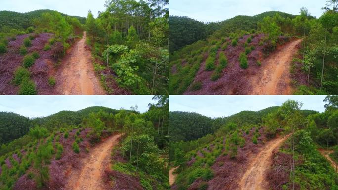 航拍山地越野车丛林赛道