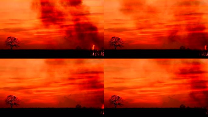 森林火灾森林大火红色天空树木剪影