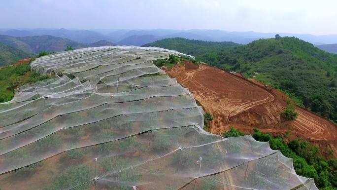 4K黄土高原水土保持 苹果园雨水聚集试验