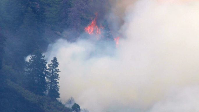 克莉丝汀湖森林大火玄武岩山科罗拉多洛基山野火烟雾