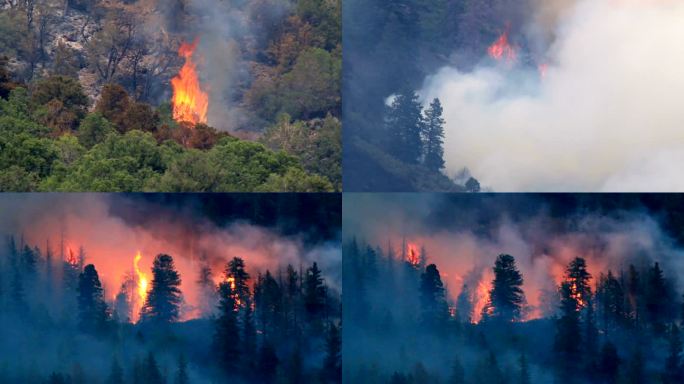 克莉丝汀湖森林大火玄武岩山科罗拉多洛基山野火烟雾