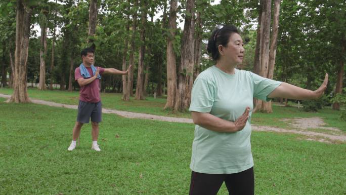 POV手持广角镜头：亚洲老年男女在公园里一起做太极拳练习。老年人打太极拳。早上感到放松。医疗保健和体