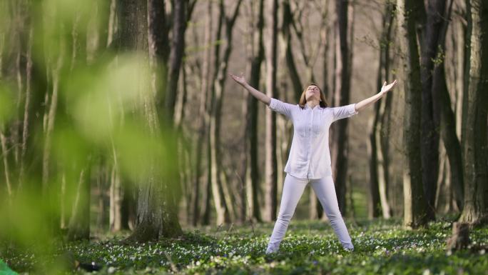 DS中年妇女在森林里打太极拳