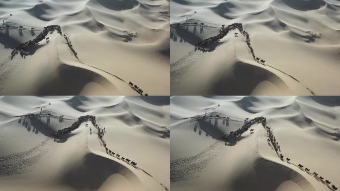 沙漠素材穿越乌兰布和沙漠 轮牧 骆驼
