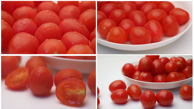 西红柿番茄蔬菜水果圣女果棚拍