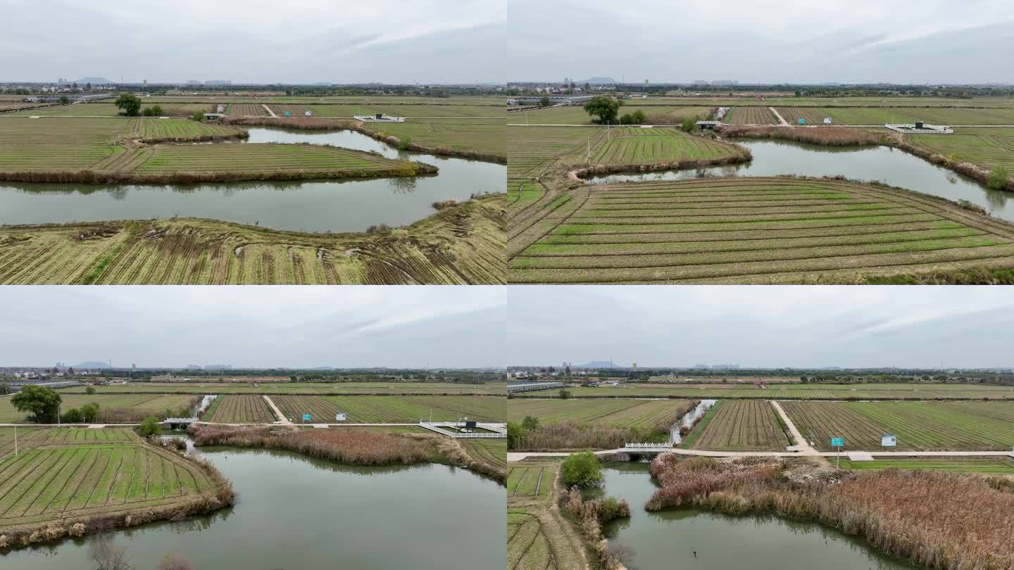航拍南京湖熟现代农业示范园区