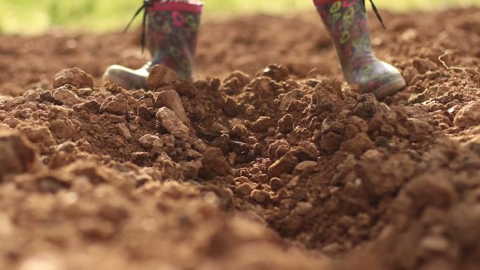 小女孩挖泥土耕种耕地播种