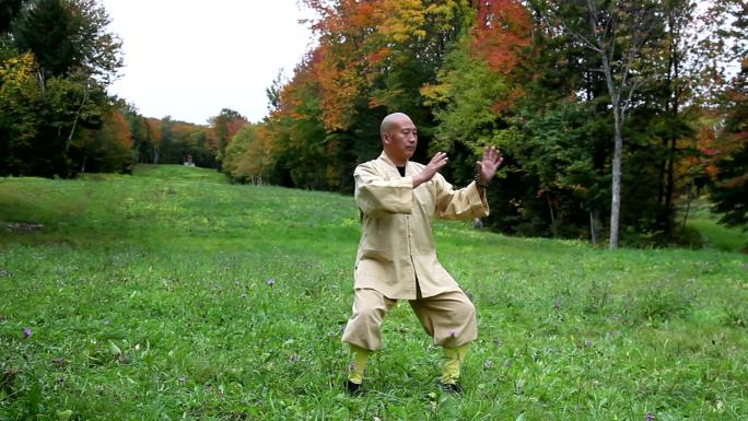 中国禅师表演太极拳