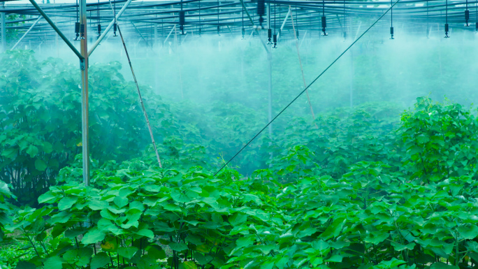 大棚麻类植物自动灌溉研究