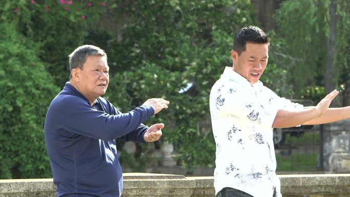 两名亚洲男子在公园练习太极