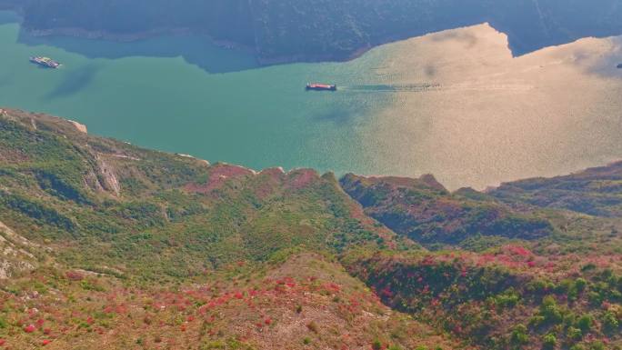 大气巫峡红叶