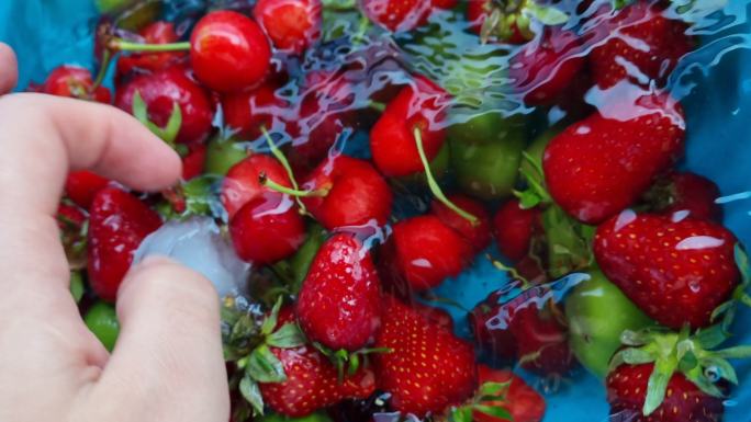 清洗夏季水果，草莓，樱桃，李子