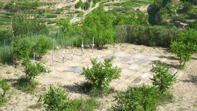 4K黄土高原水土保持 节水型矮化种植试验