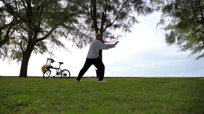 场景：亚洲老年男子上午在公园练习太极，概念健康和生活方式，运动