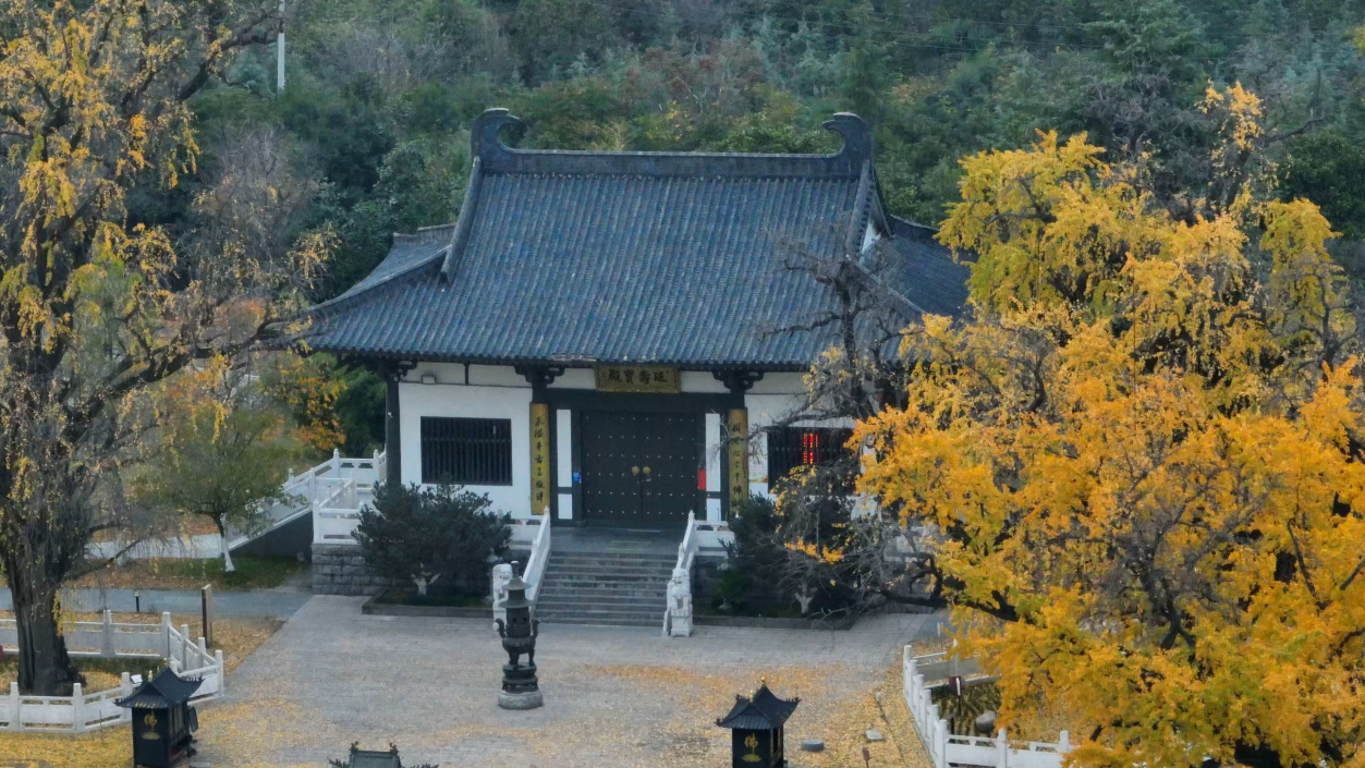 美丽南京4K古惠济寺千年银杏树航拍宣传片