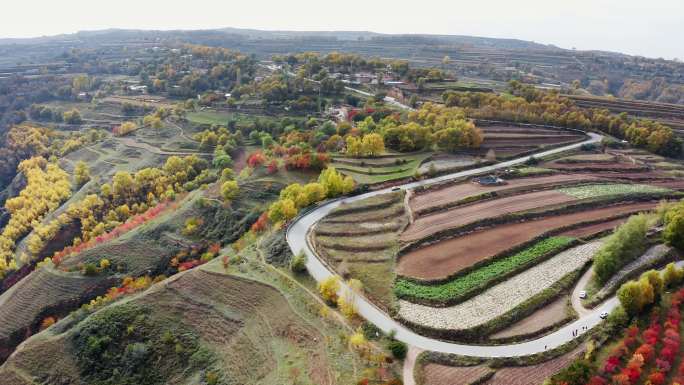 贡马村道路硬化生态建设