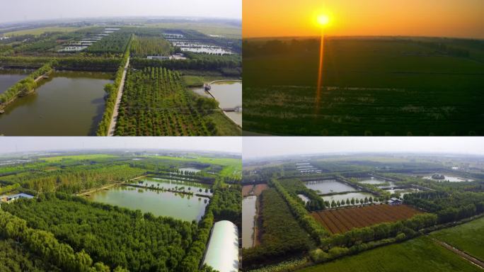 4K 农业航拍   三农航拍