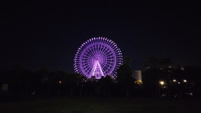 河畔夜景摩天轮2