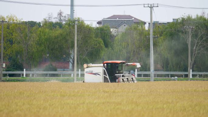 乡村水稻小麦农作物机械化收割