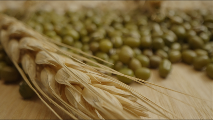 4K特写麦穗红豆绿豆小米黑豆薏米